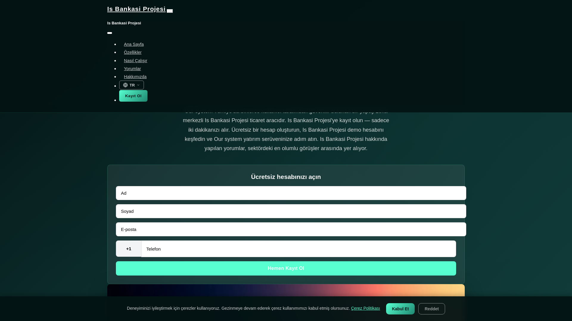 website screenshot of https://isbankasiprojesi.online