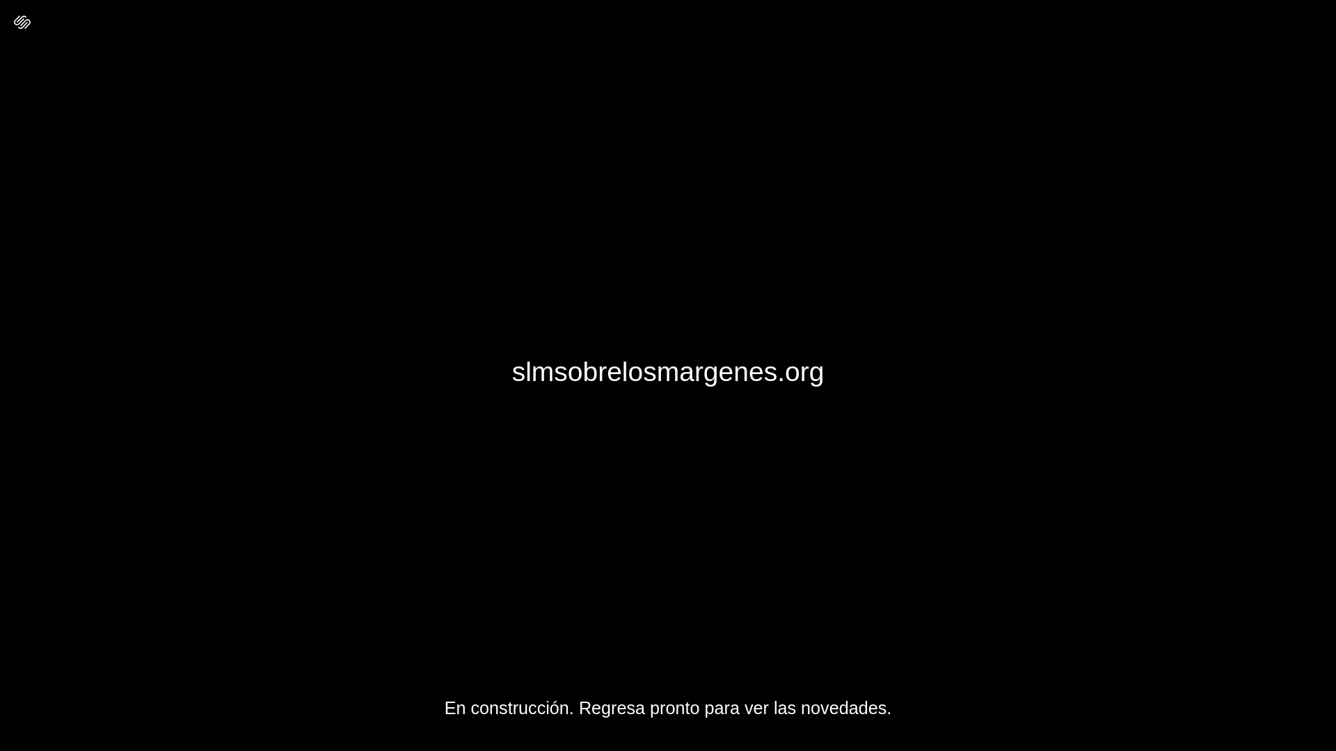 website screenshot of https://slmsobrelosmargenes.org/
