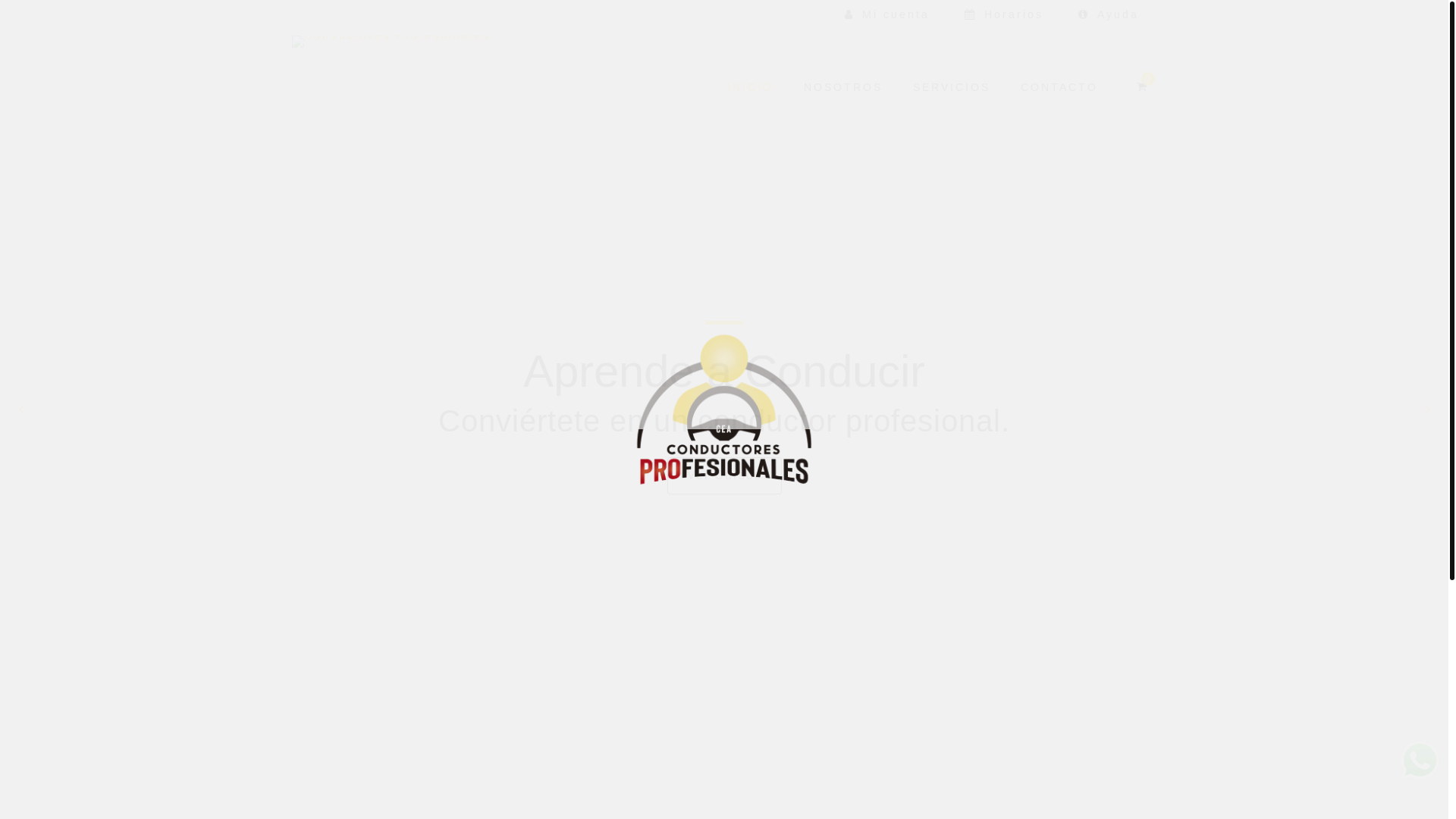 website screenshot of https://pruebasaot.online/