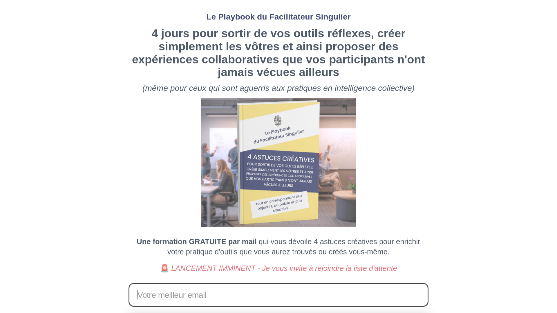 website screenshot of https://facilitateursingulier.com/