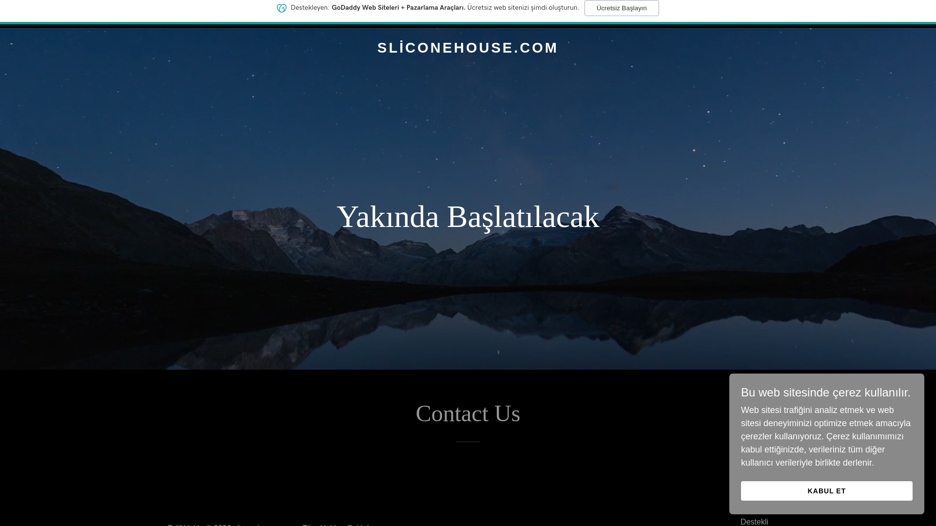 website screenshot of https://sliconehouse.com/