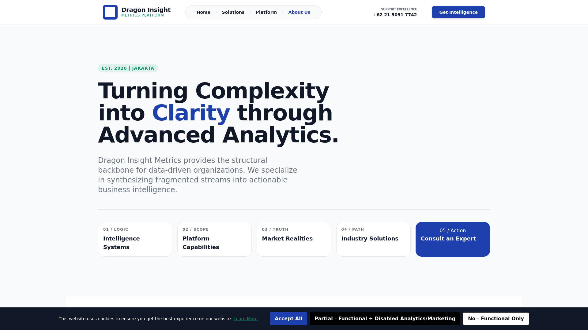 website screenshot of https://dragoninsightmetrics.digital/