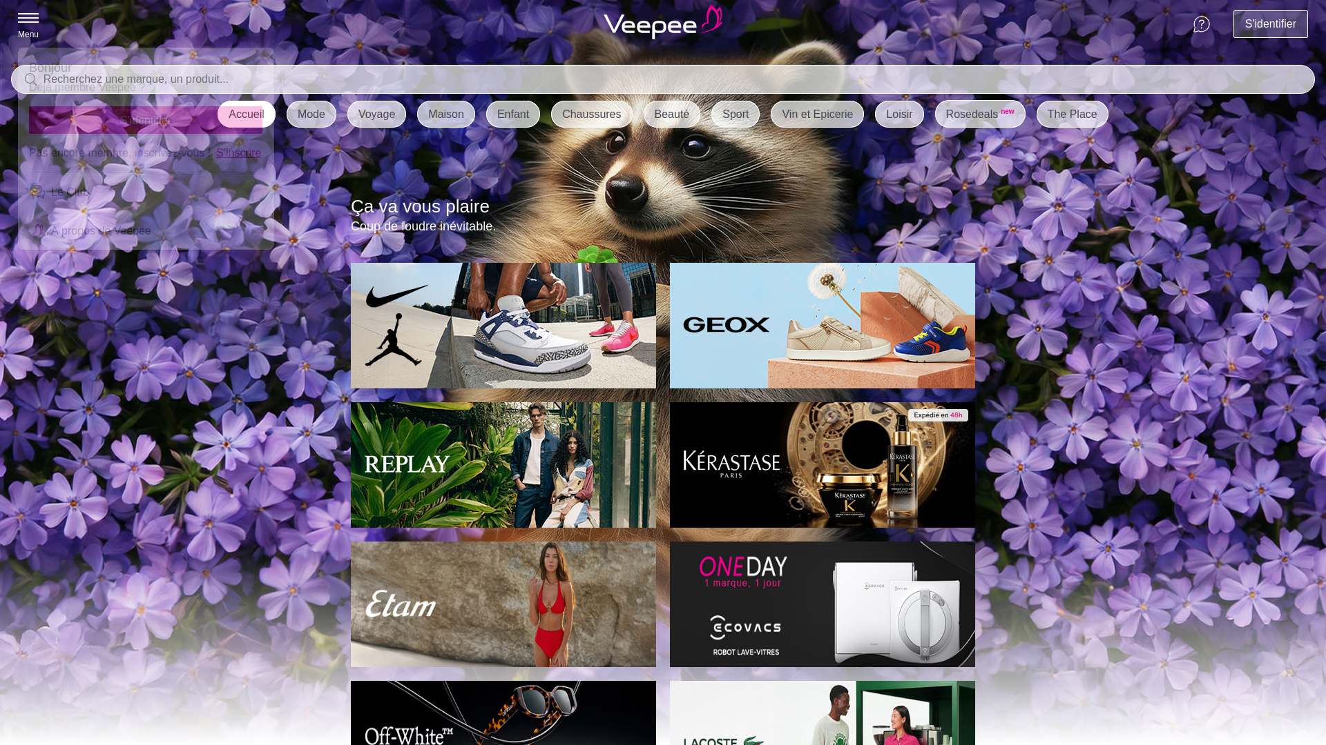 website screenshot of https://www.veepee.fr/