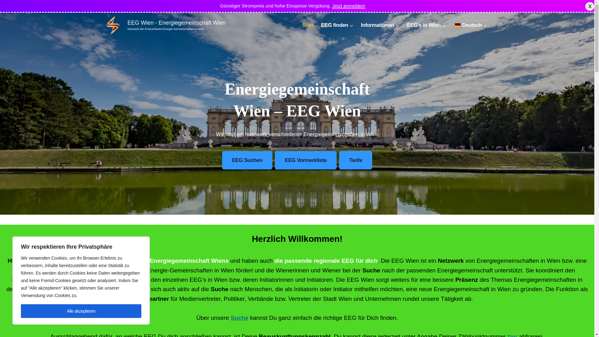 website screenshot of https://energiegemeinschaftwien.at/