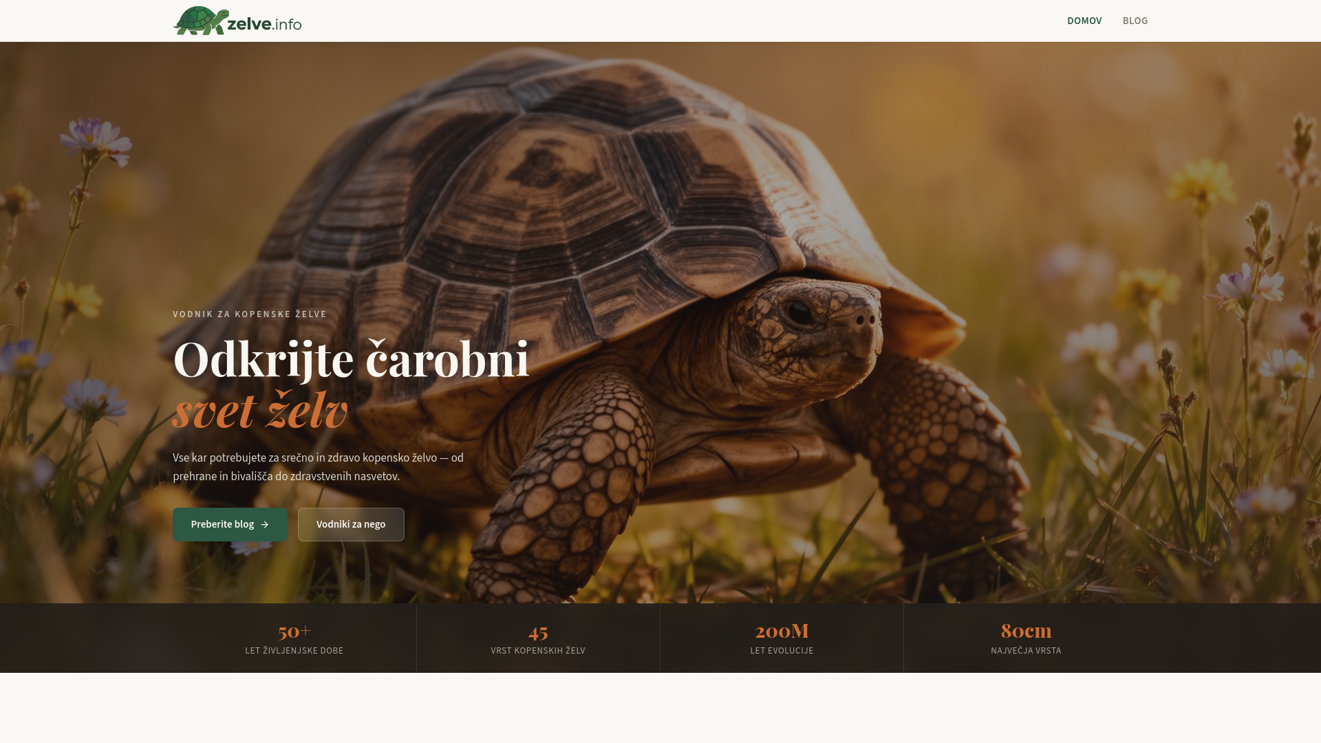 website screenshot of https://zelve.info/