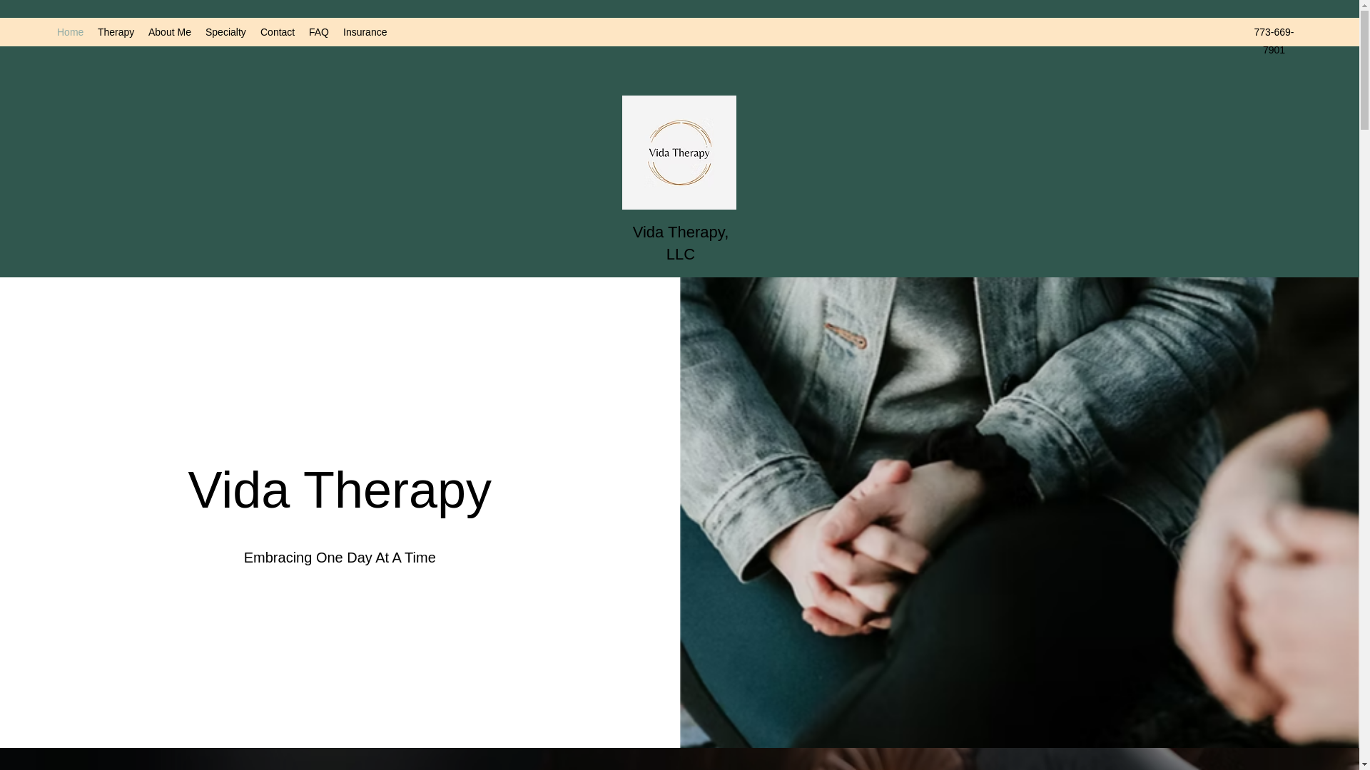 website screenshot of https://vida-therapy.com/