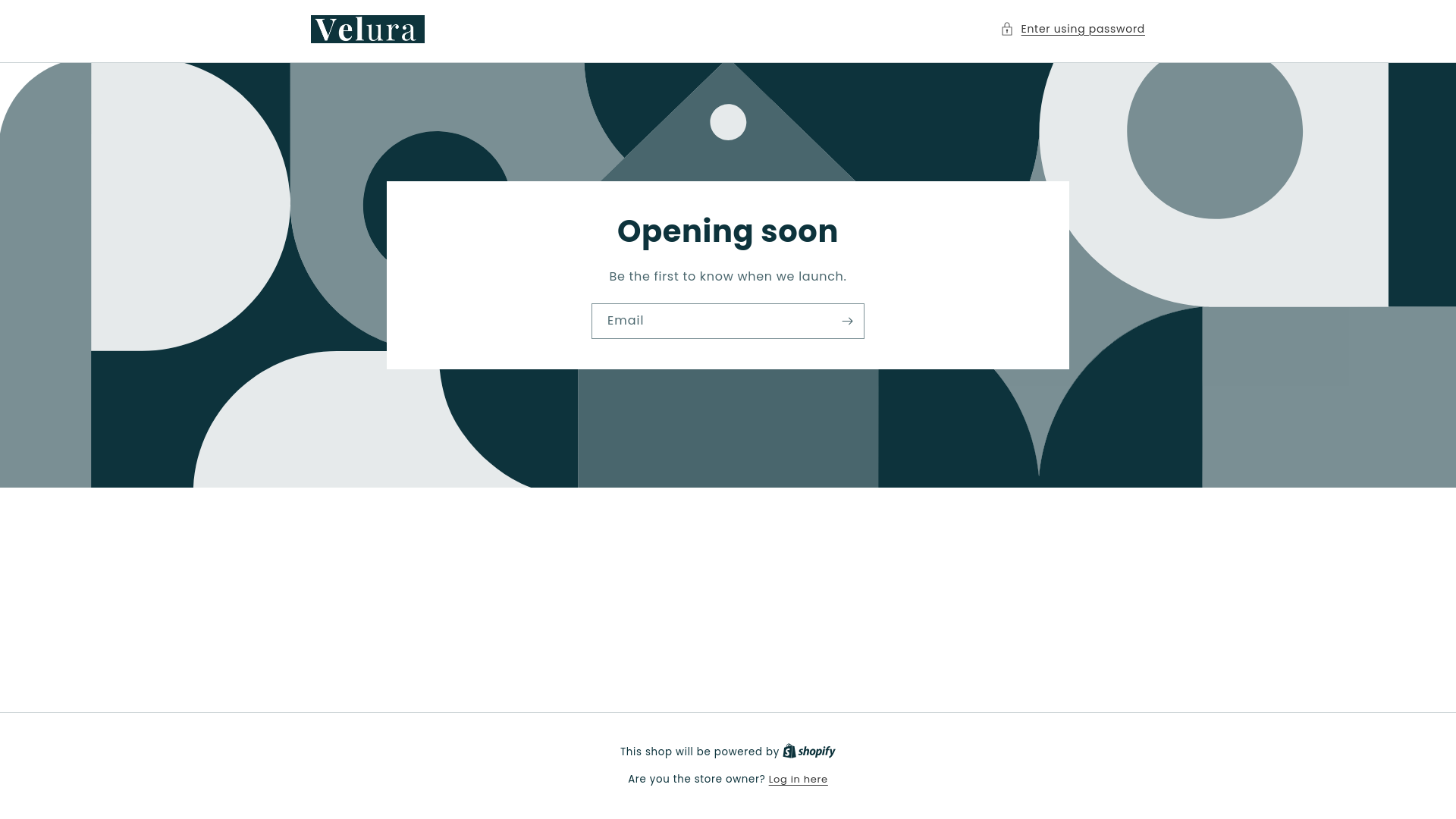 website screenshot of https://shopveluraco.com/