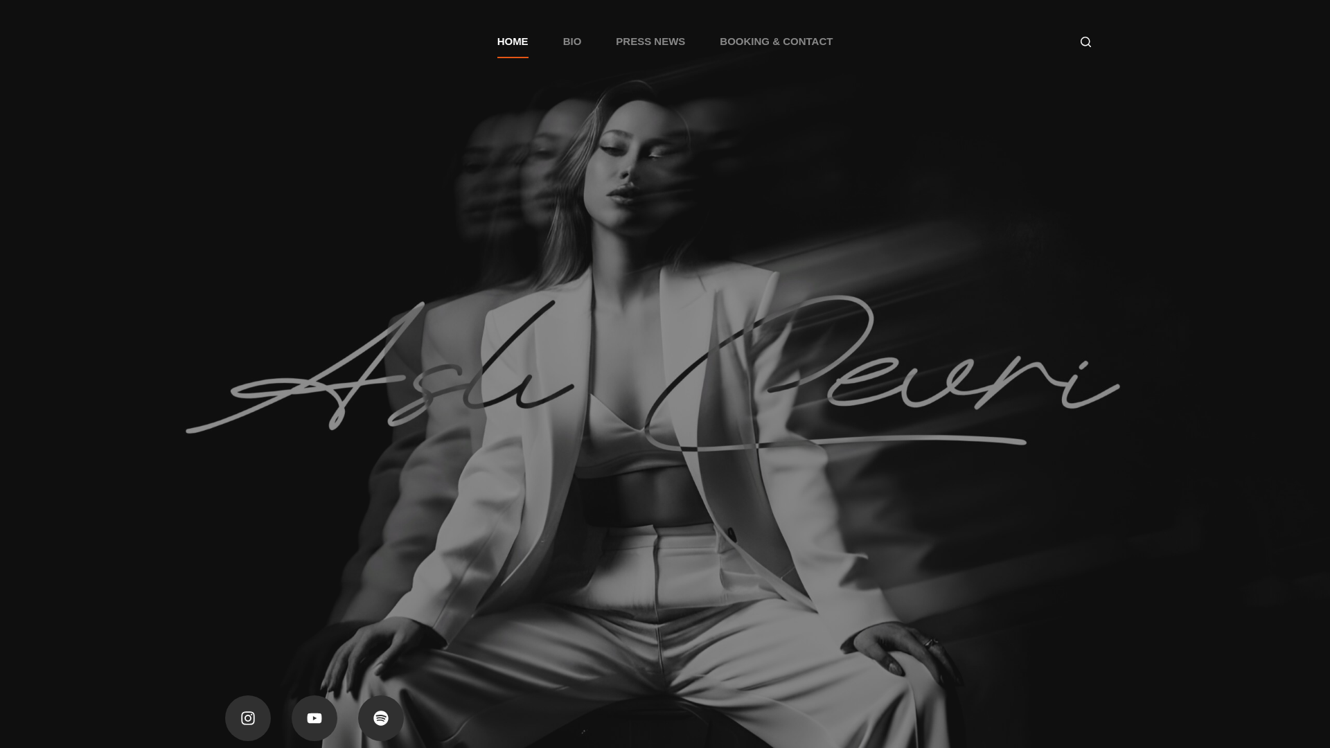 website screenshot of https://aslicevri.com/