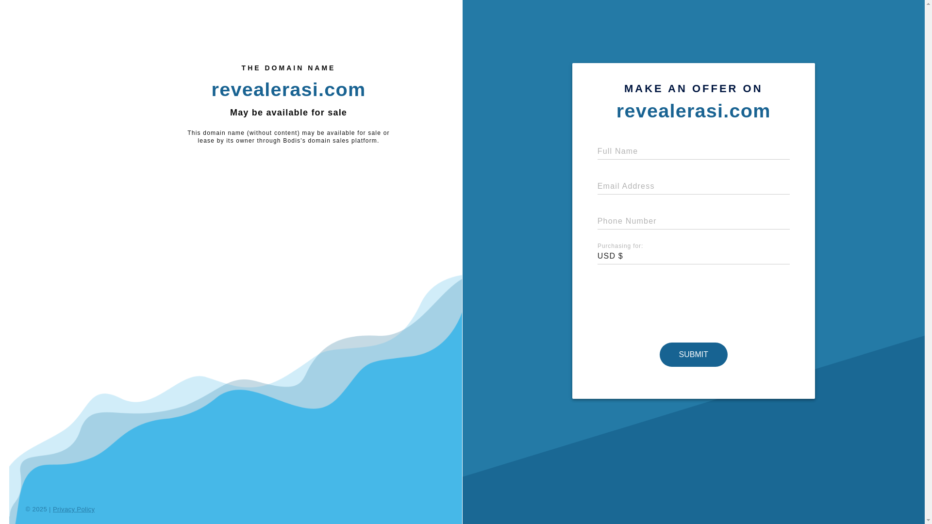 website screenshot of https://revealerasi.com/