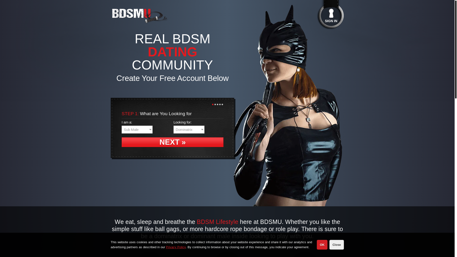 website screenshot of https://vip-trk.o18.click/c?o=21144605&m=10930&a=591424&aff_sub1=FUN