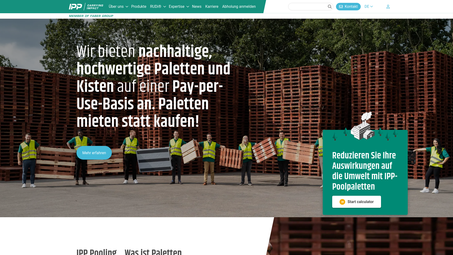 website screenshot of https://ipppooling.de/