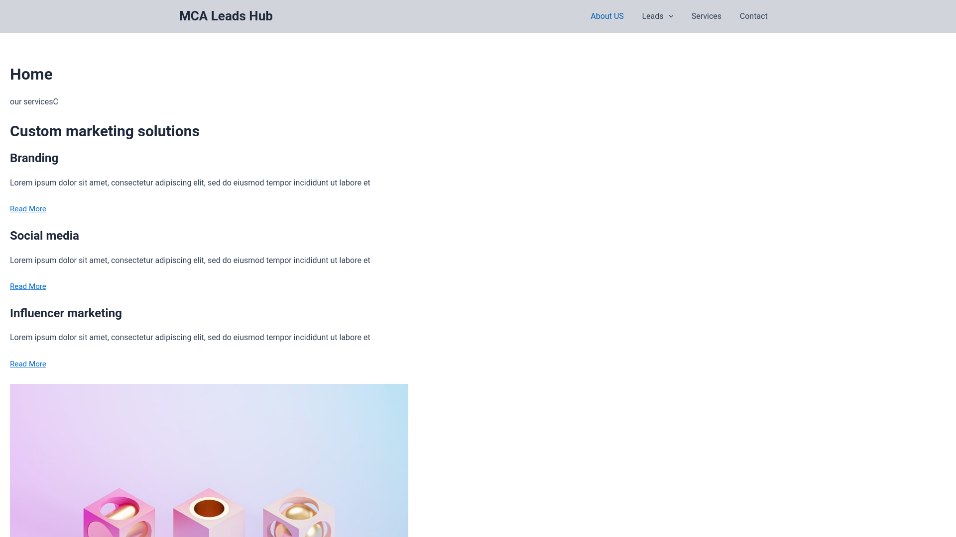 website screenshot of https://mcaleadshub.net/