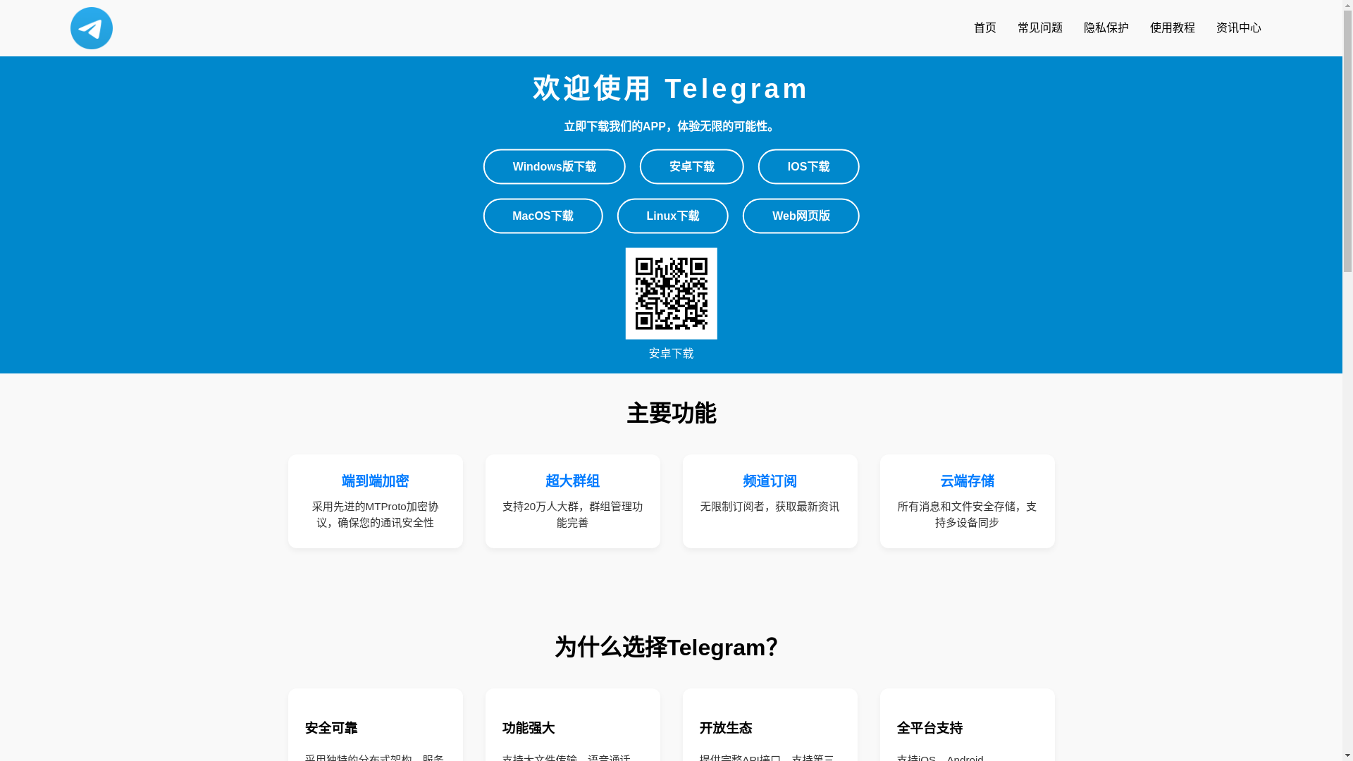 website screenshot of https://zhs-telegramem.net/