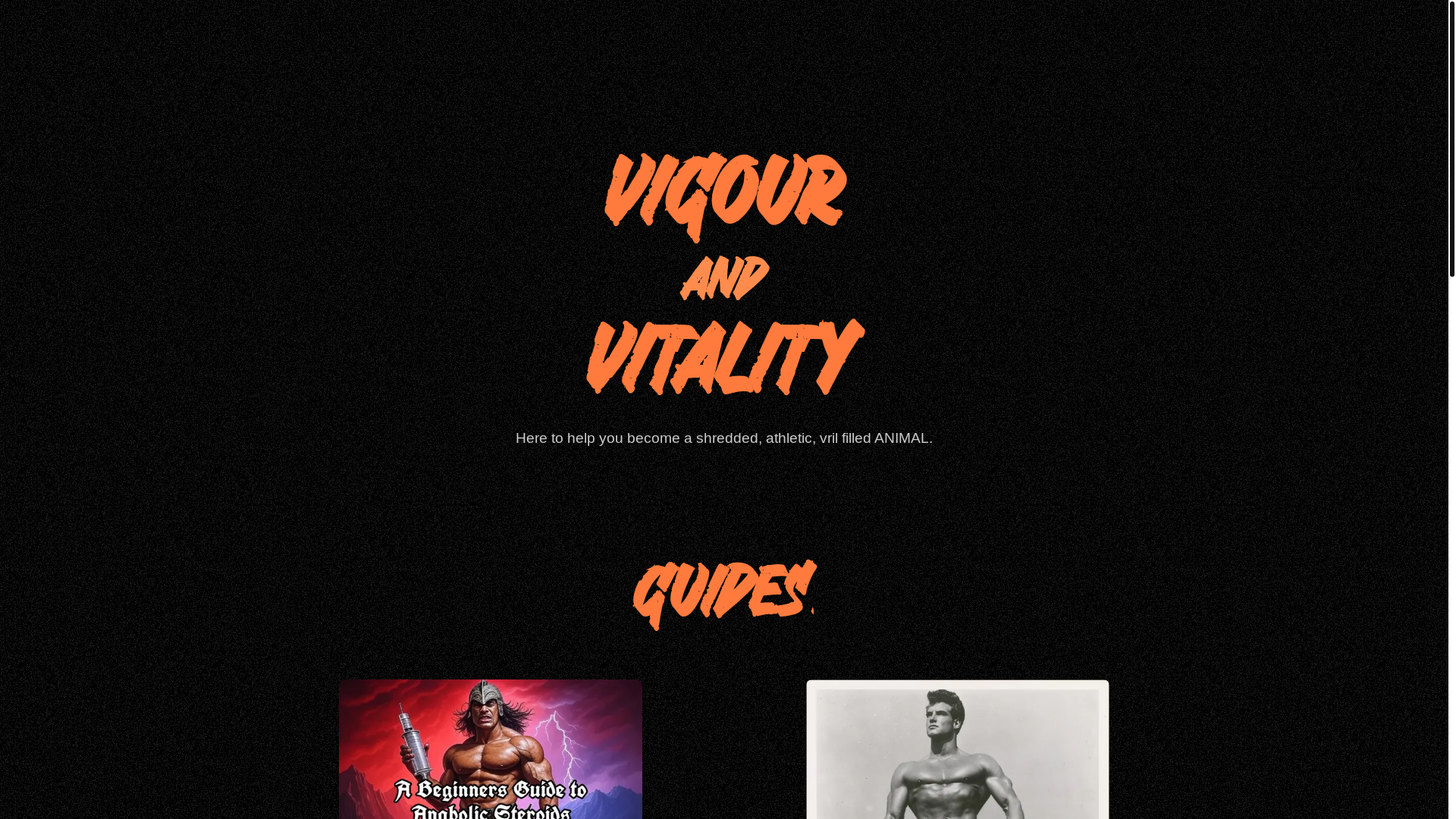website screenshot of https://vigour-and-vitality.pages.dev/