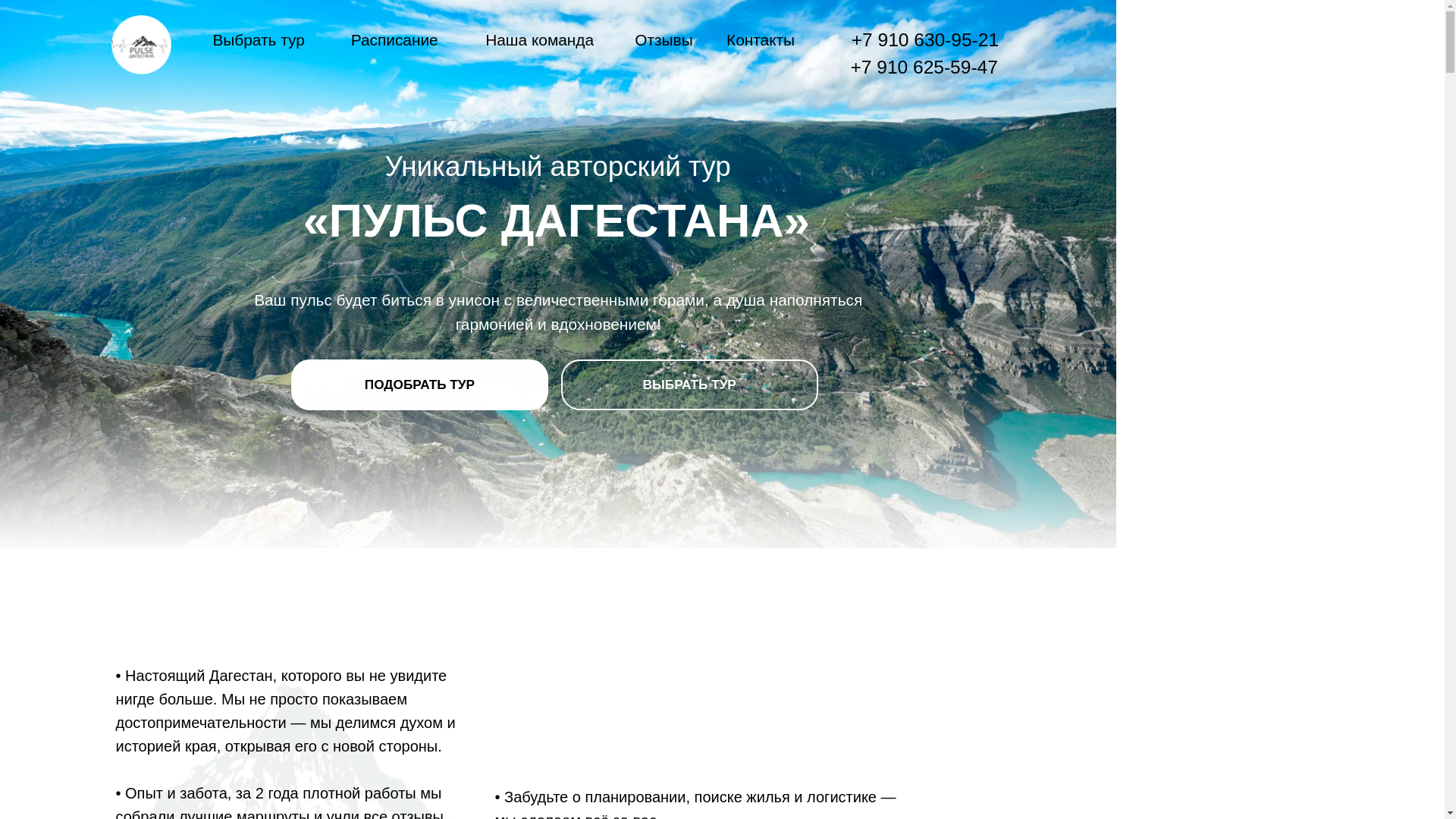 website screenshot of https://pulse-dagestana.ru/