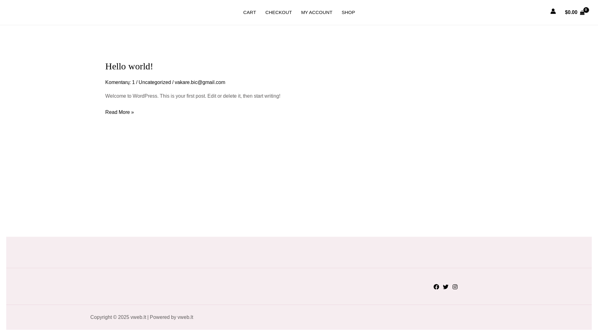 website screenshot of https://vweb.lt/