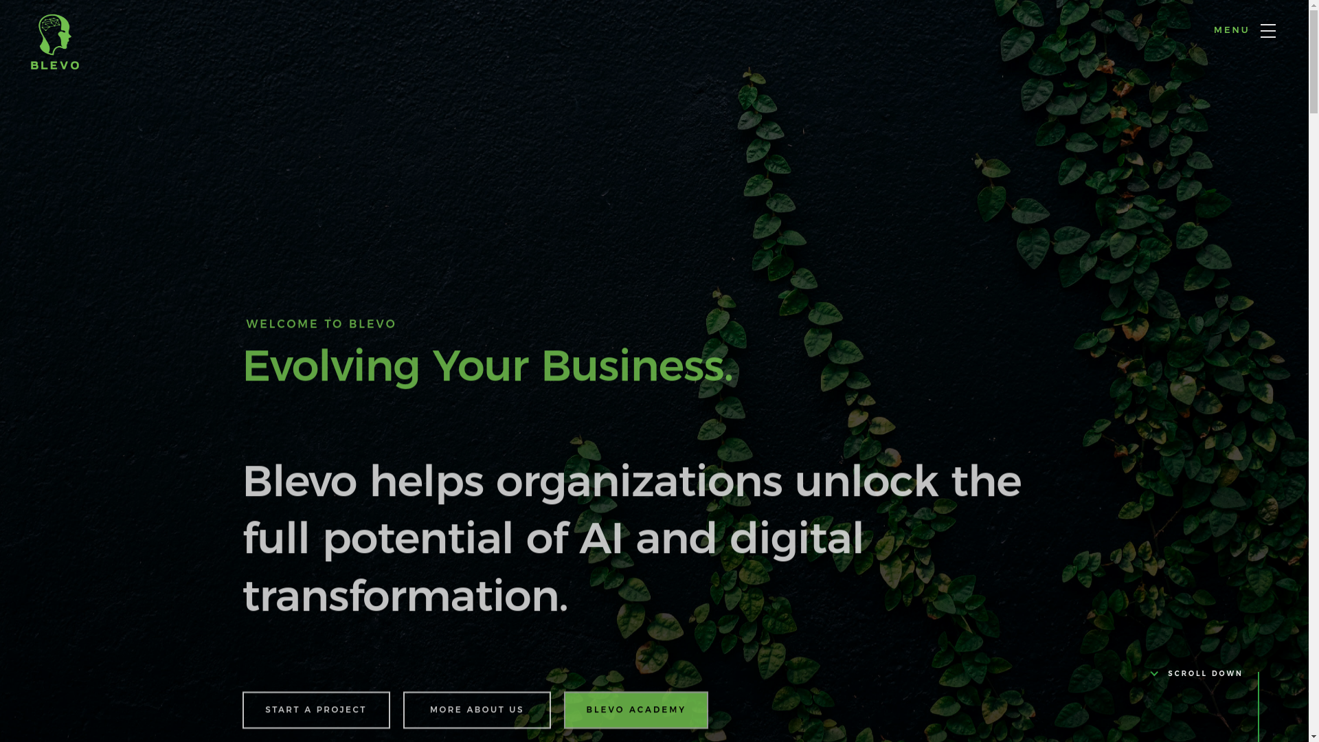 website screenshot of https://blevo.pages.dev/