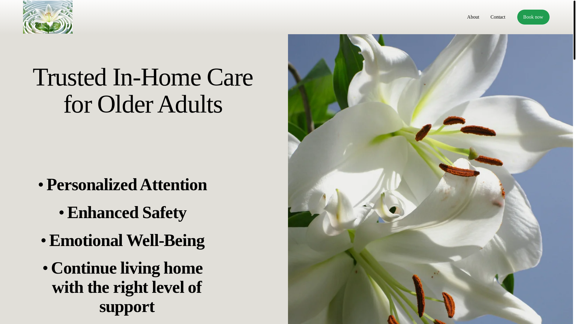 website screenshot of https://lillymazehealthcare.com/