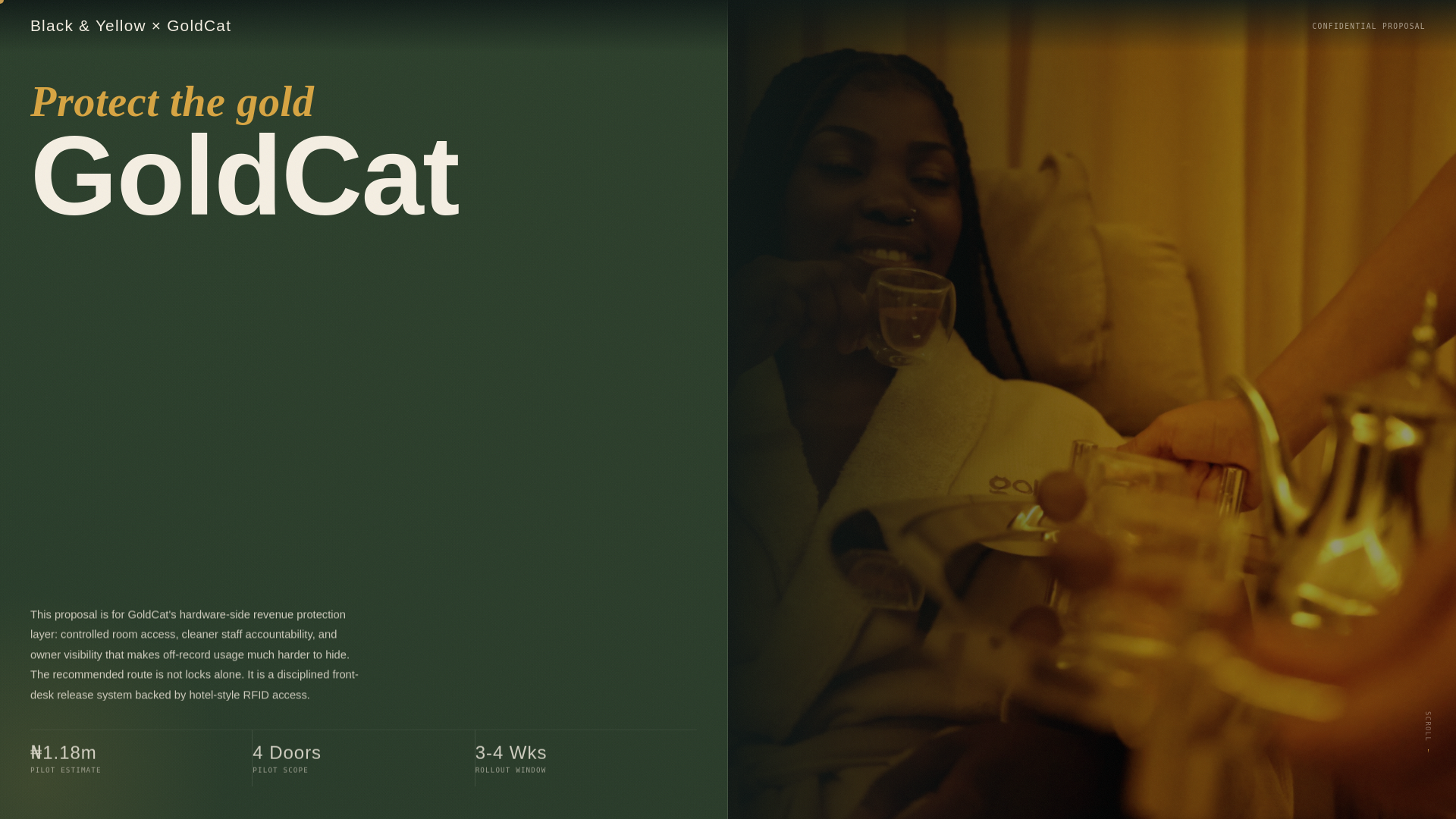 website screenshot of https://goldcat-hardware.pages.dev/