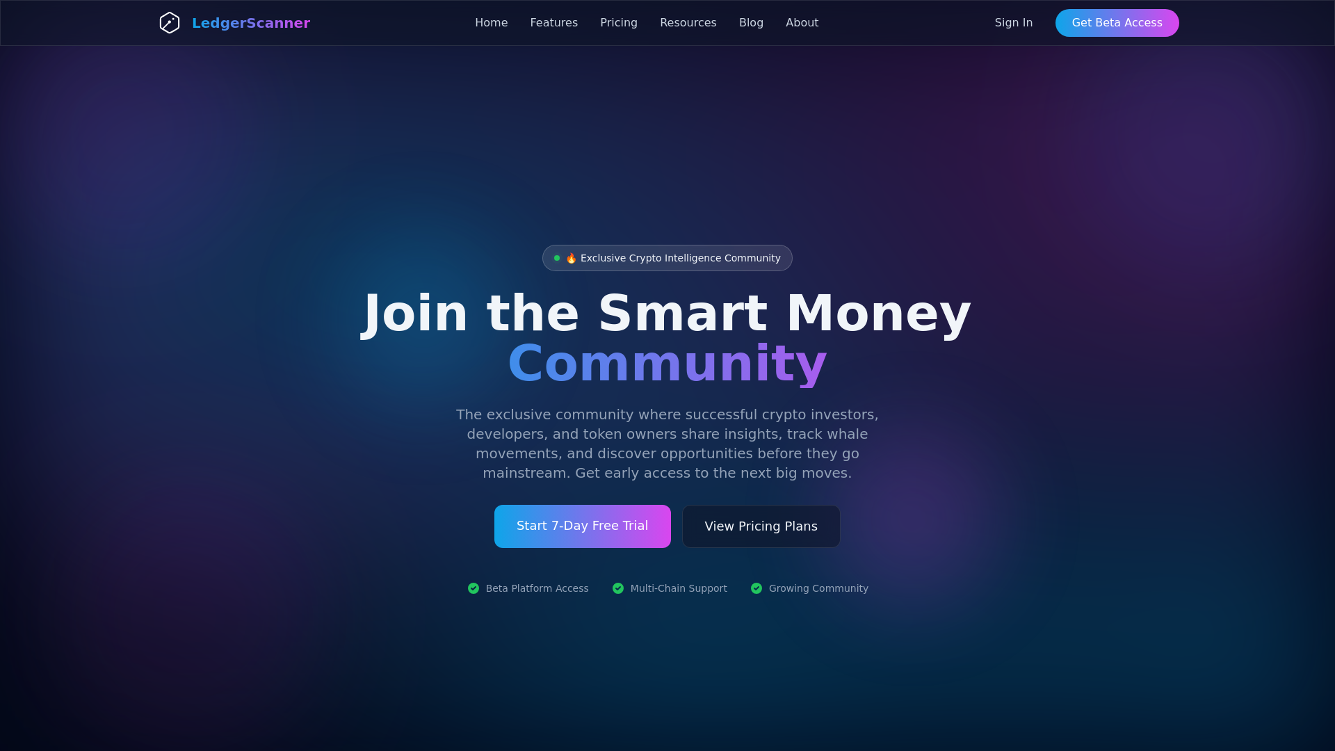 website screenshot of https://ledgerscanner.com/