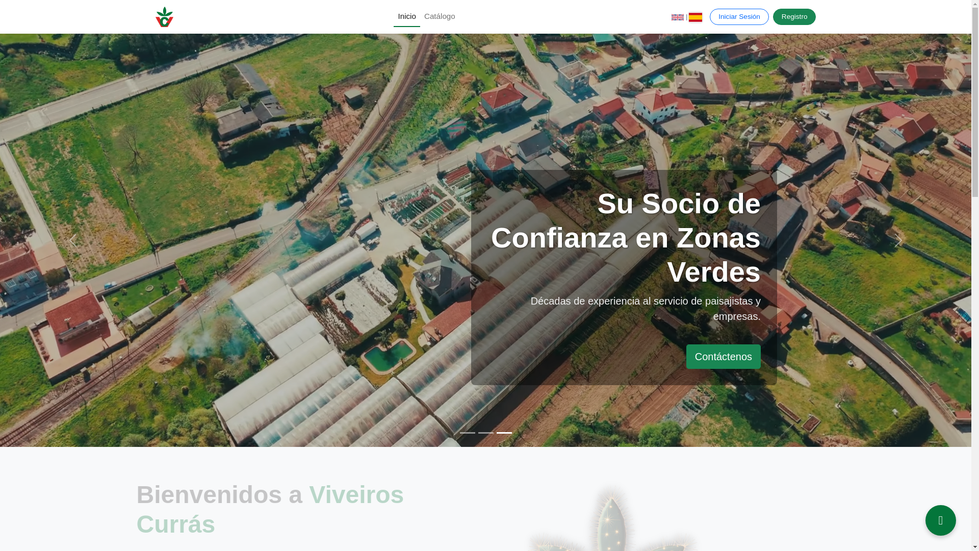 website screenshot of https://viveiroscurras.com/