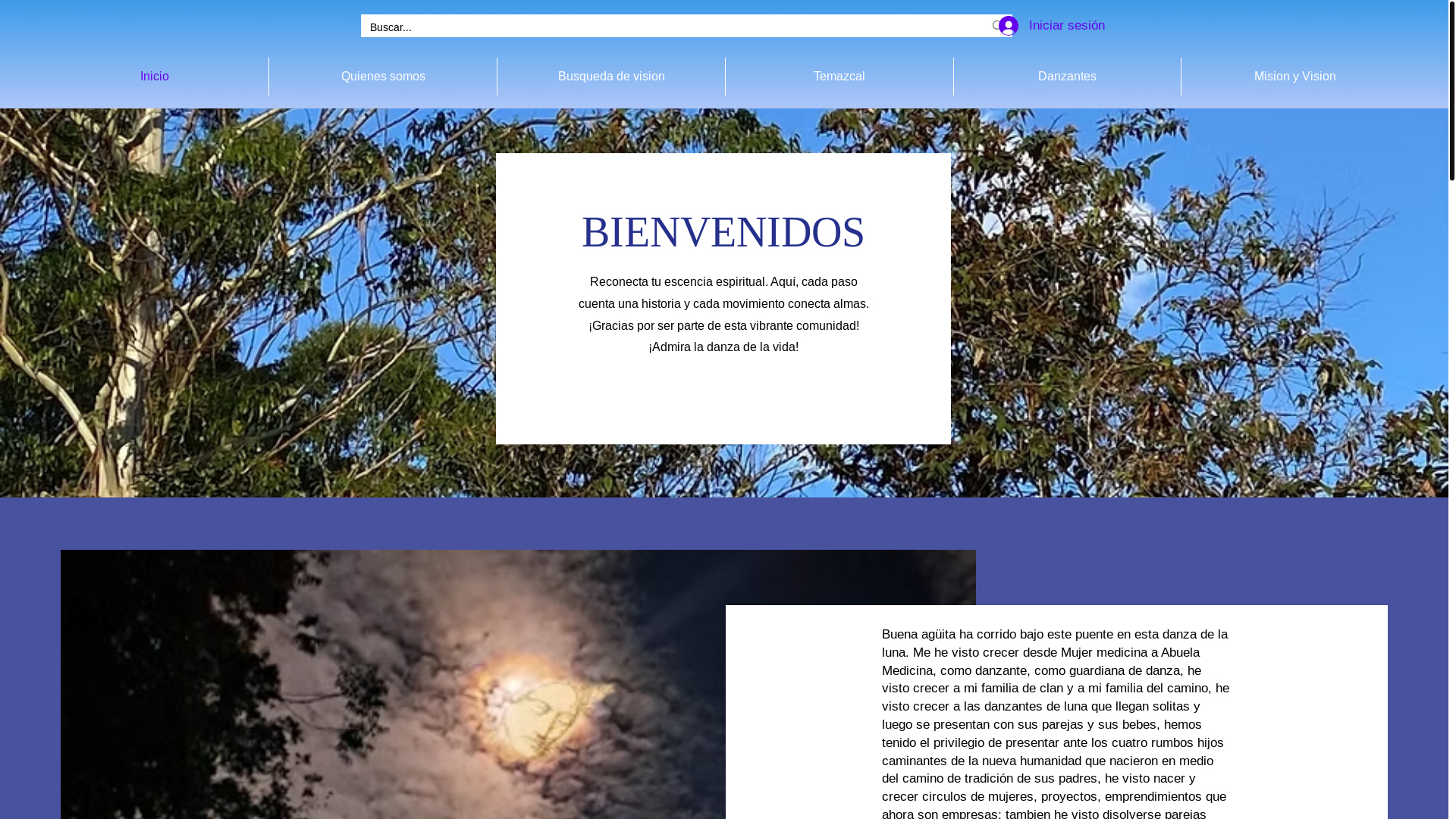 website screenshot of https://danzalunahuitztlampayolotlmetztli.com/