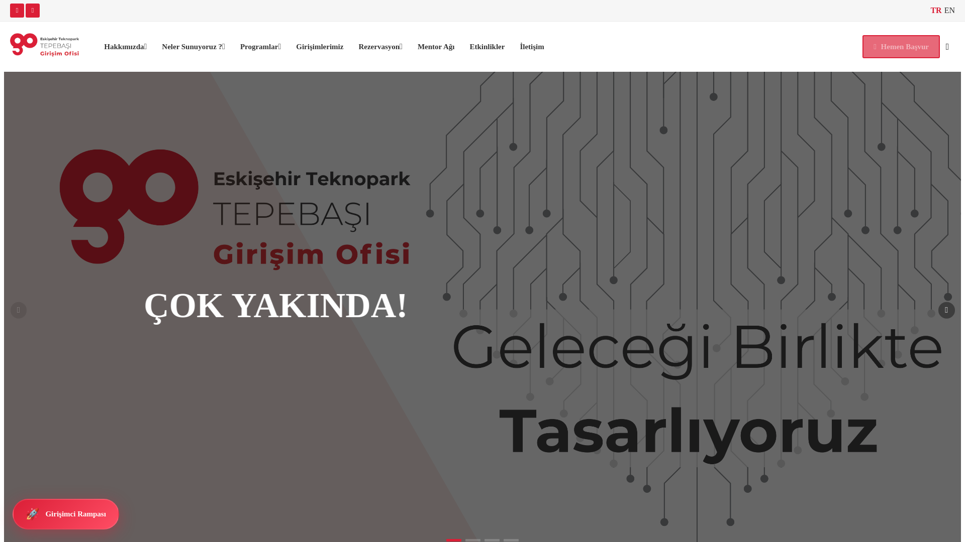 website screenshot of https://tepebasigo.com/
