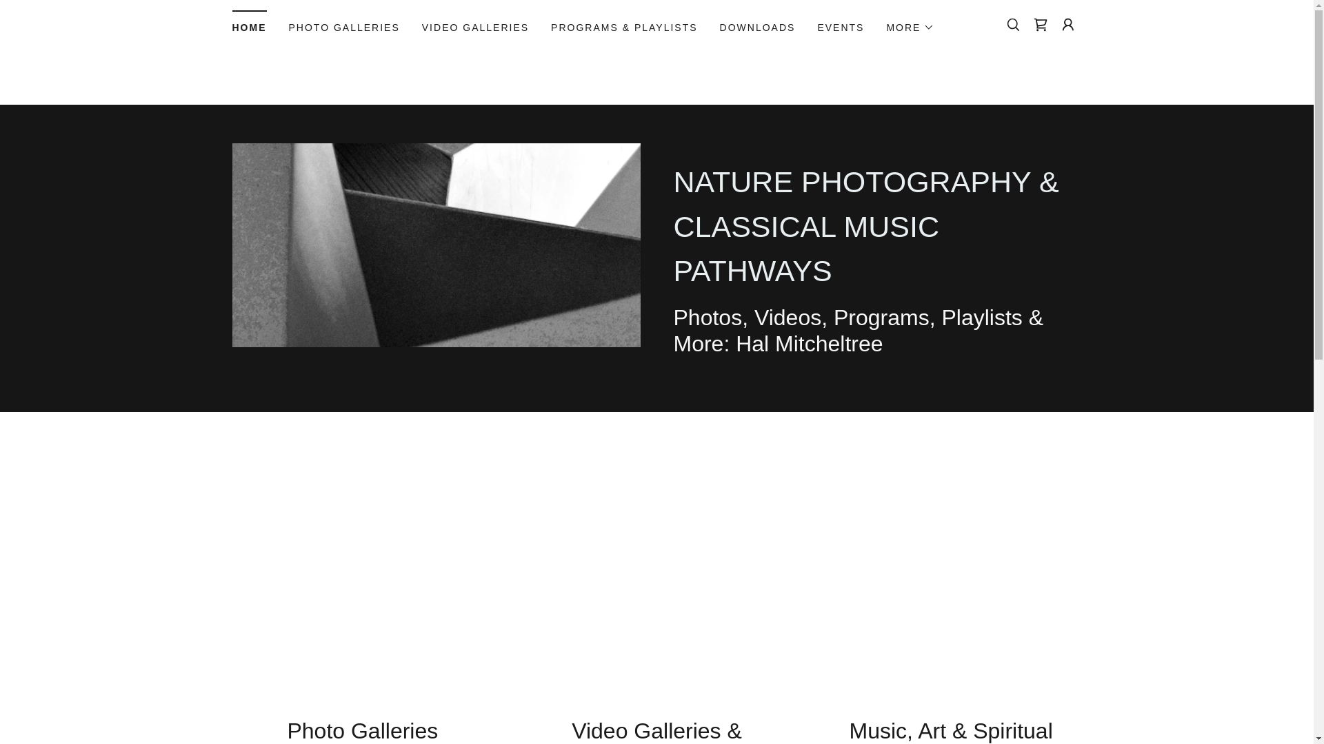 website screenshot of https://naturephotographypathways.info/