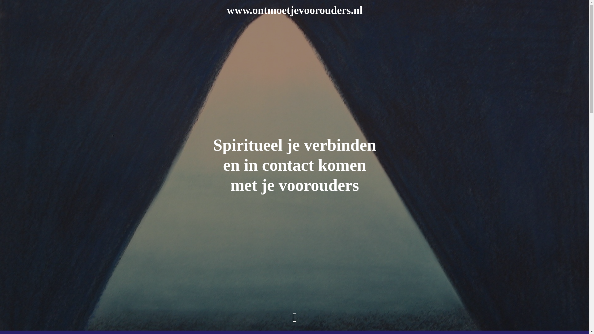 website screenshot of https://opstellingen.site/