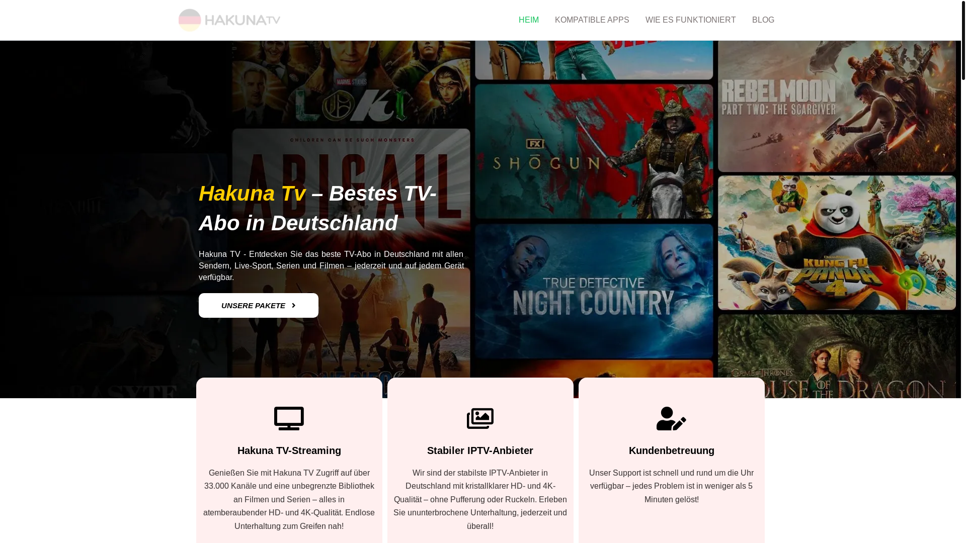 website screenshot of https://hakunatv-4k.de/