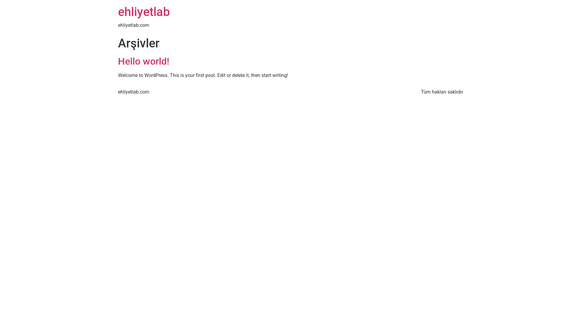 website screenshot of https://ehliyetlab.com/