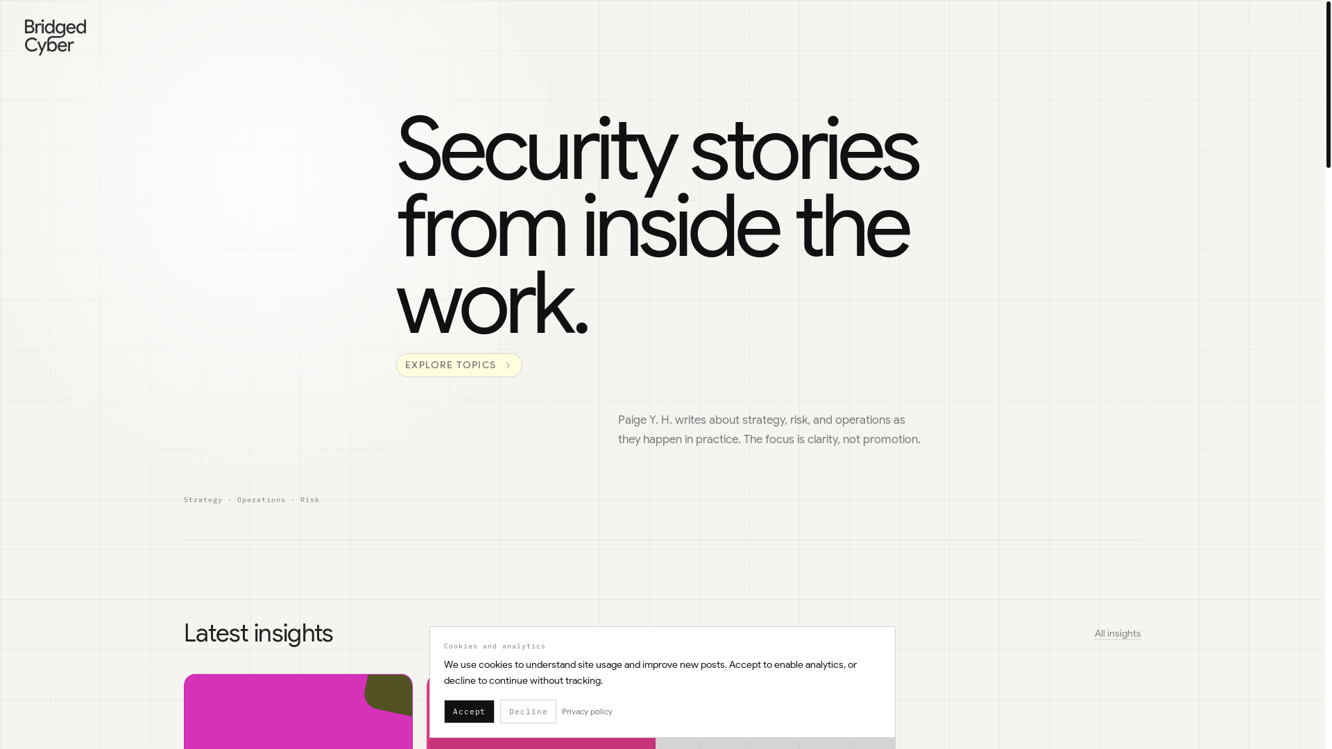 website screenshot of https://bridgedcyber.com/