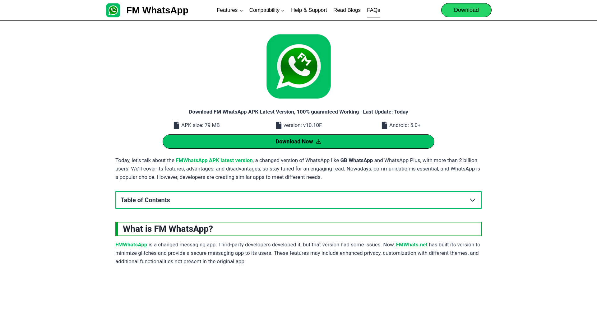 website screenshot of https://fmwhats.net