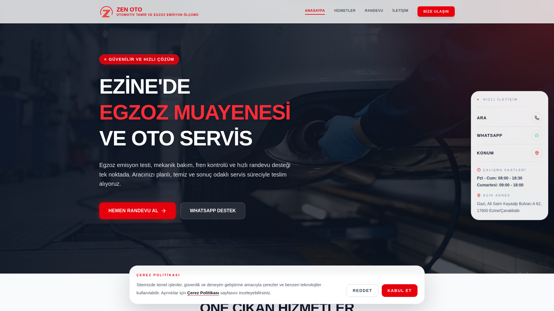 website screenshot of https://zenototamir.com