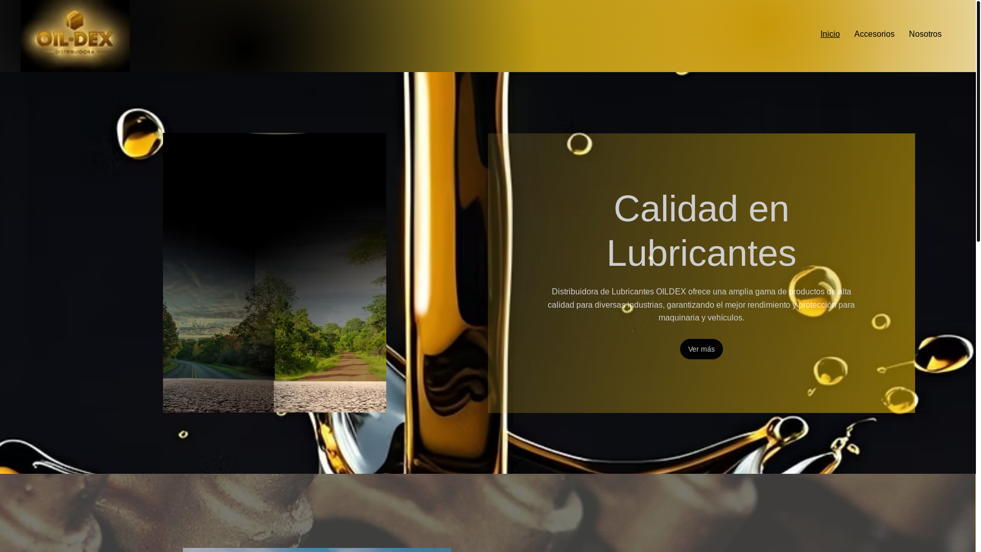 website screenshot of https://oildexlubricantes.com/