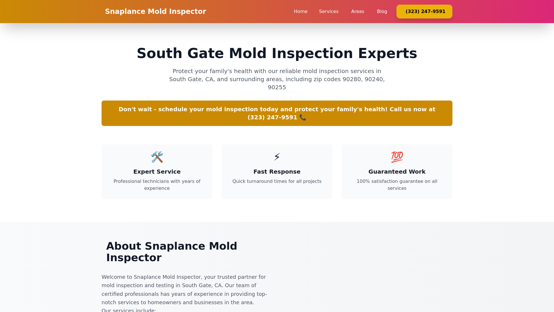 website screenshot of https://snaplancemoldinspector.pages.dev/