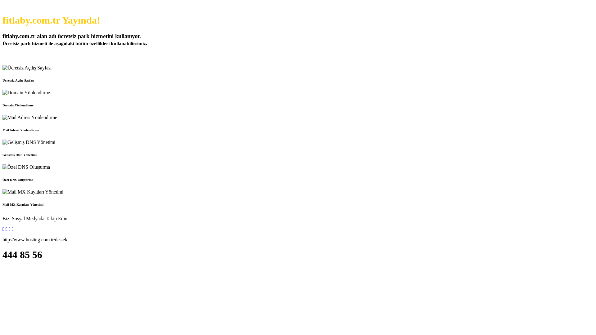 website screenshot of https://fitlaby.com.tr/