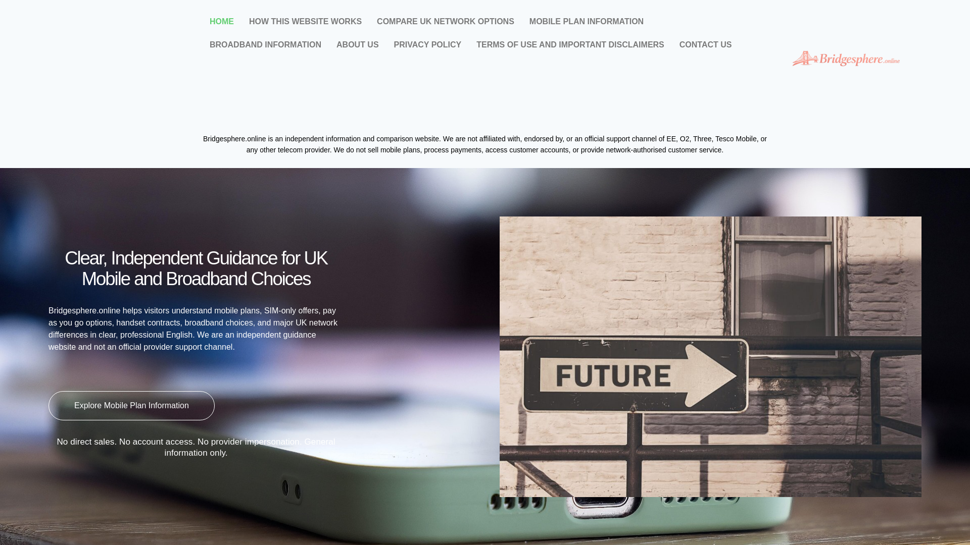 website screenshot of https://bridgesphere.online