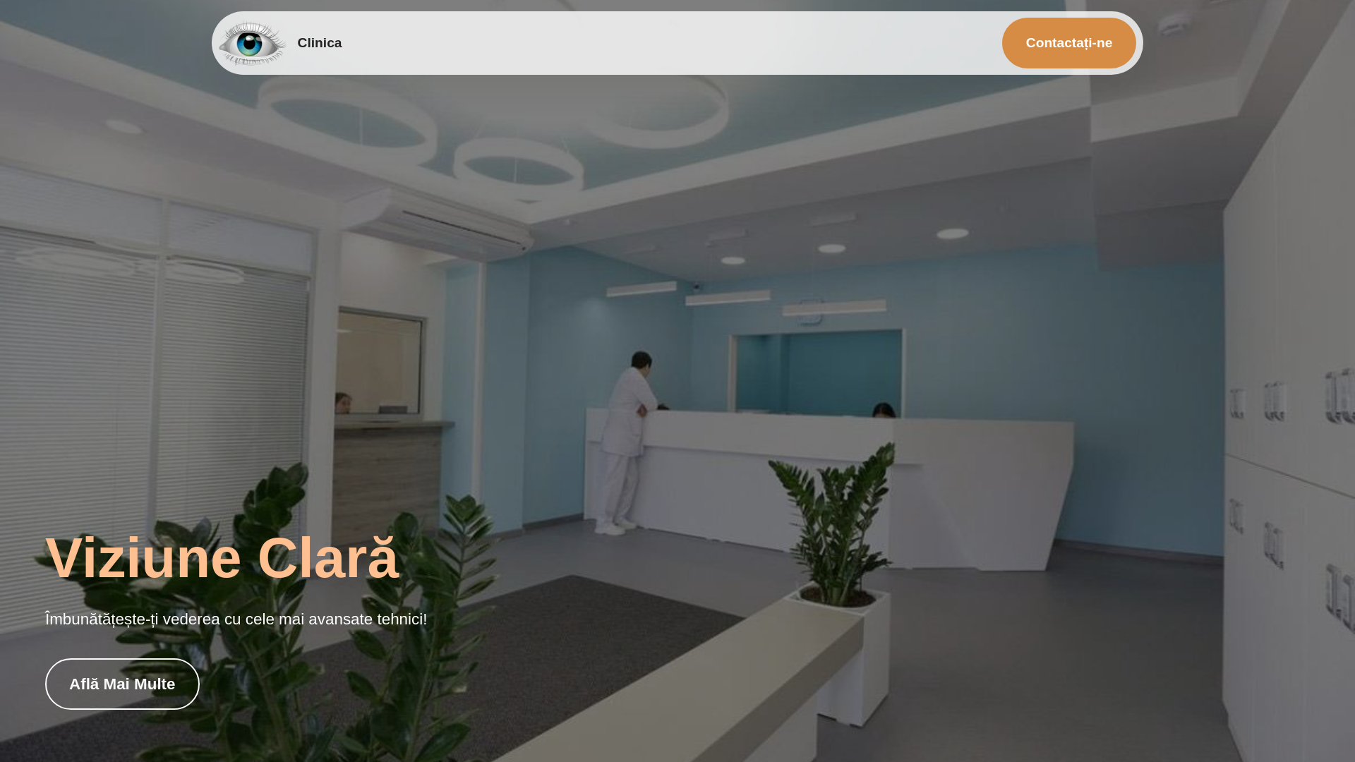 website screenshot of https://roinitatu.online/