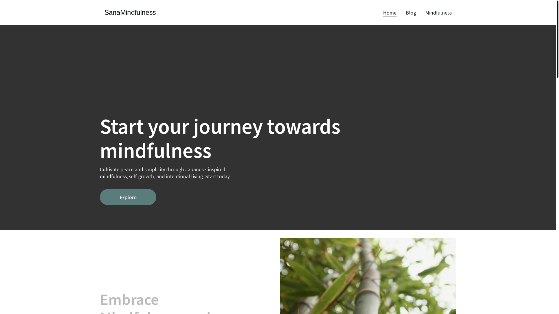 website screenshot of https://sanamindfulness.com/