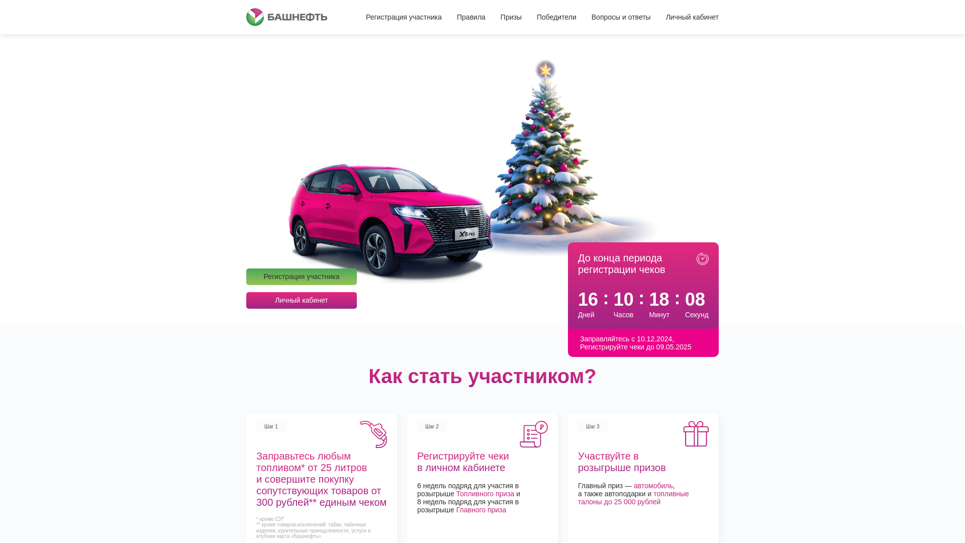 website screenshot of https://bashneft.sbs/