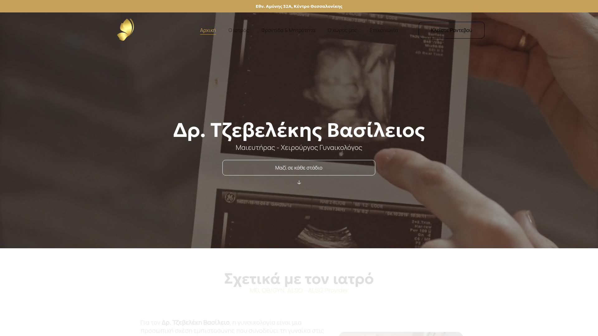 website screenshot of https://vtzevelekis.com/