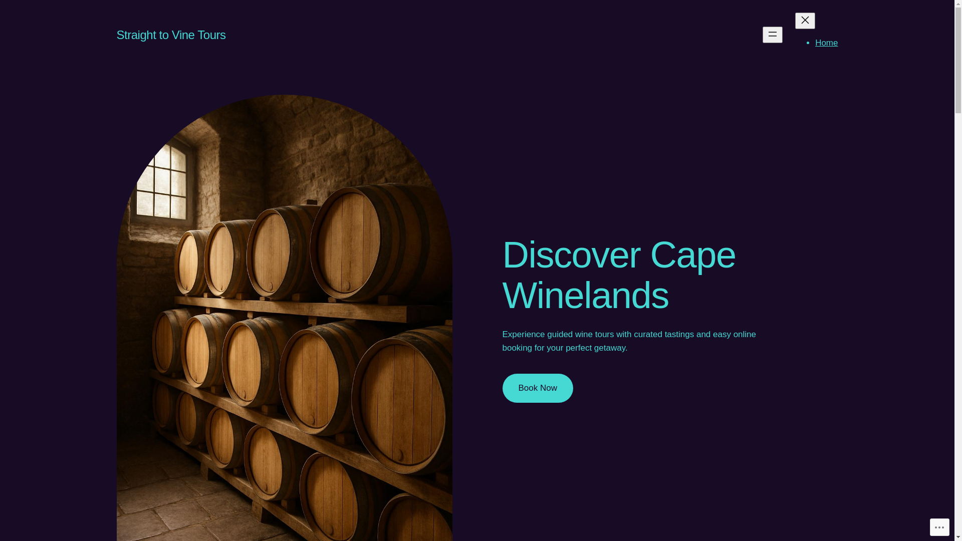 website screenshot of https://straighttothevines.com/