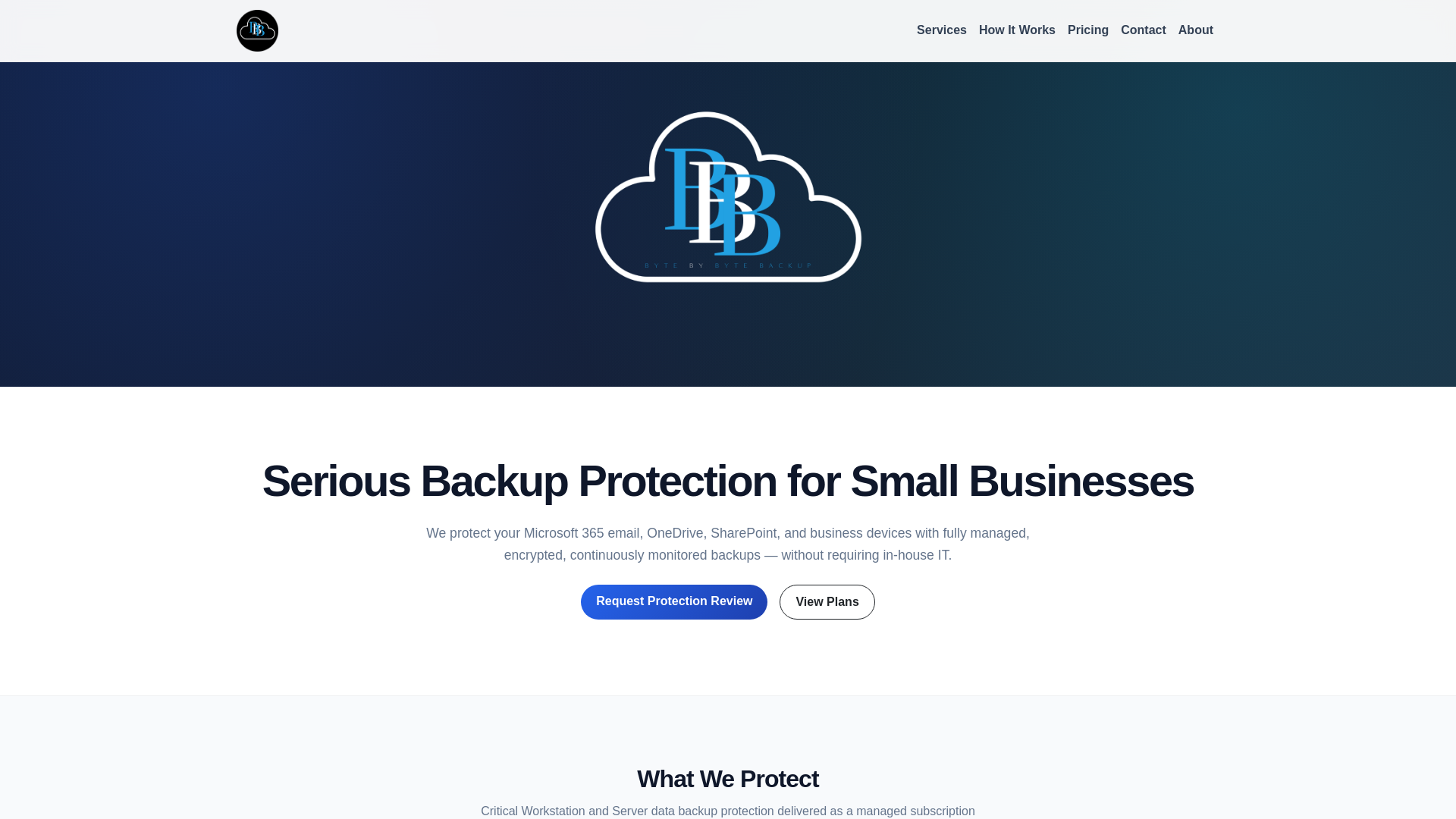 website screenshot of https://bytebybytebackup.com/