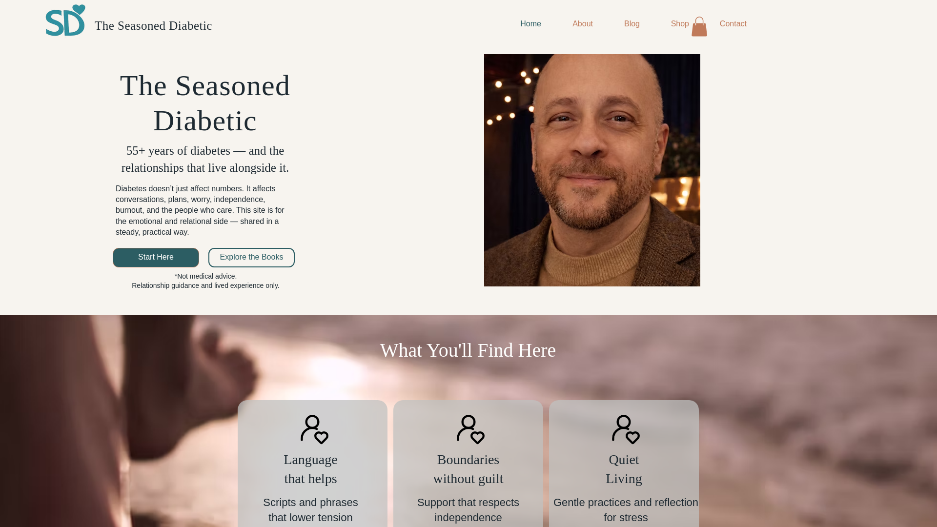 website screenshot of https://theseasoneddiabetic.com