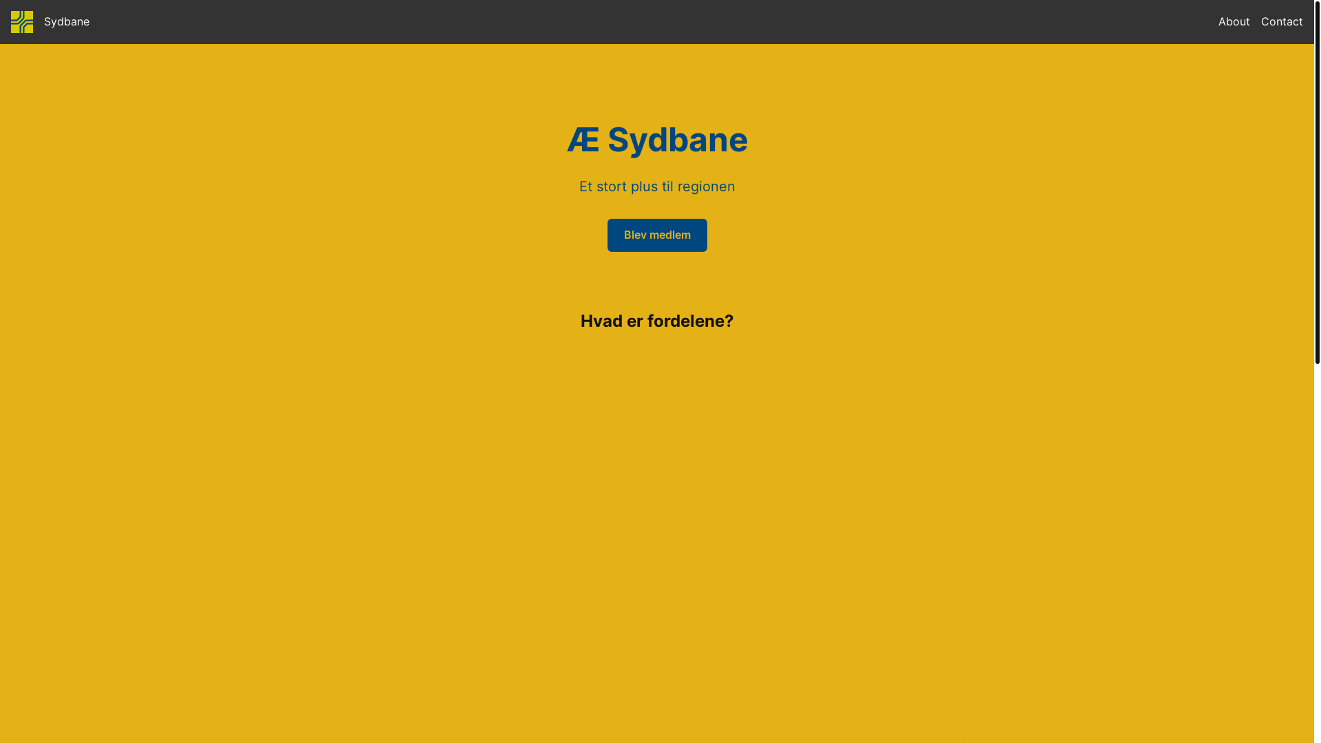 website screenshot of https://sydbane.dk/