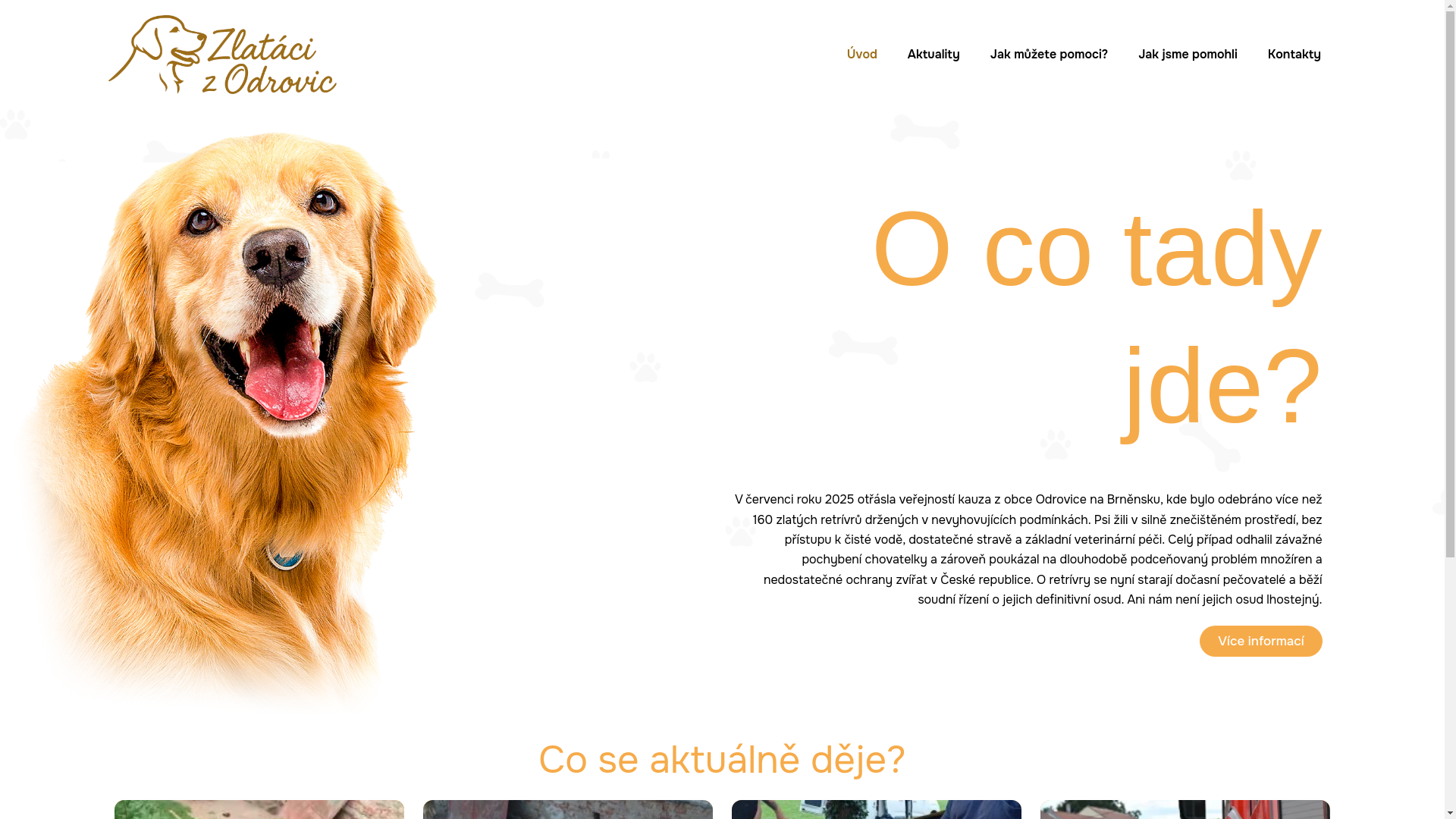 website screenshot of https://zlatacizodrovic.cz/