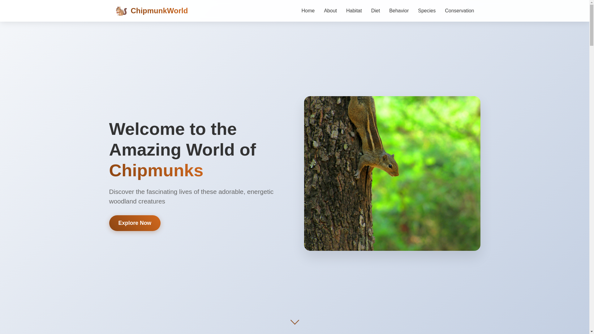 website screenshot of https://vibe-otter.com/