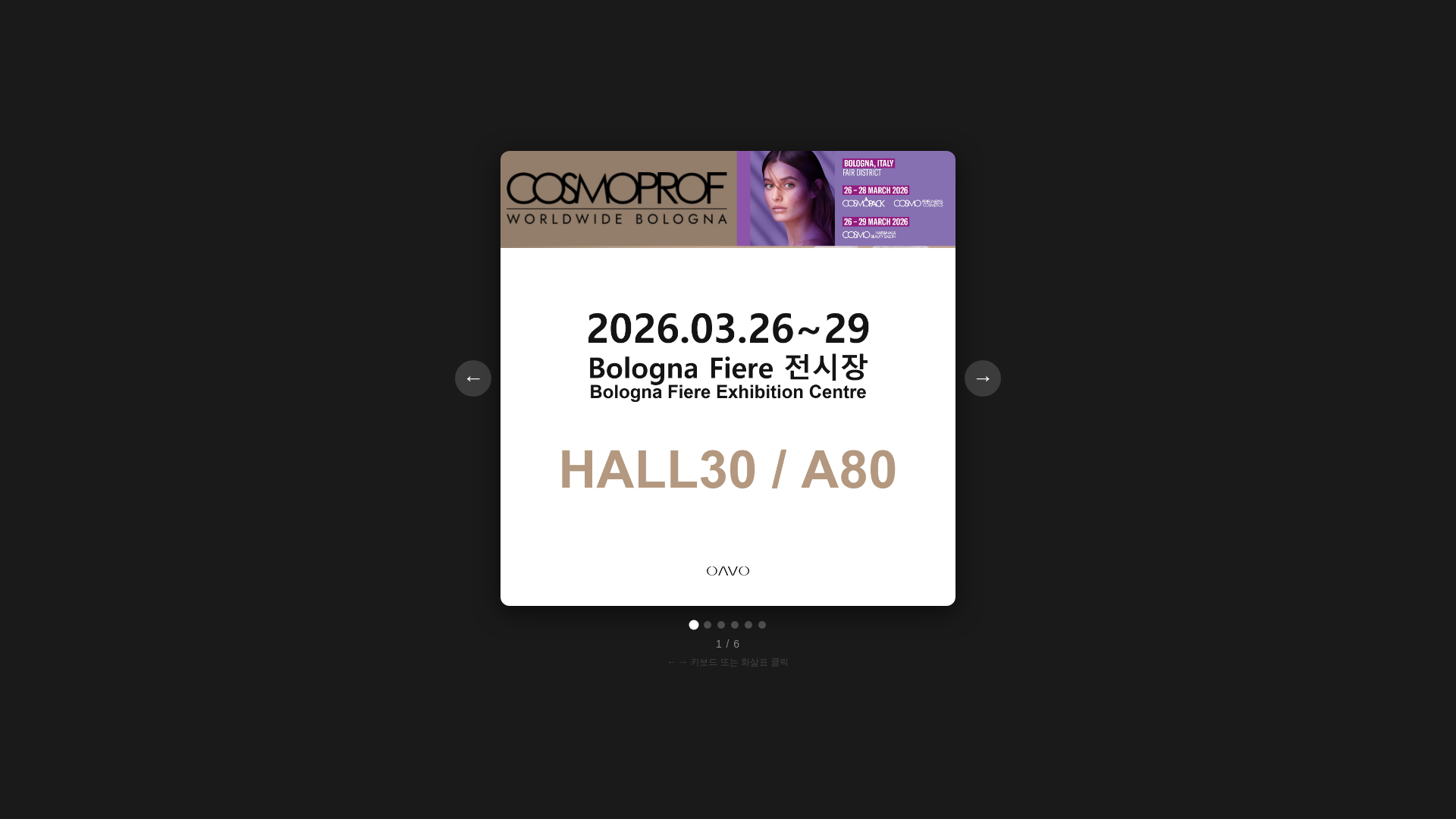 website screenshot of https://oavo-26-bologna-4.pages.dev/