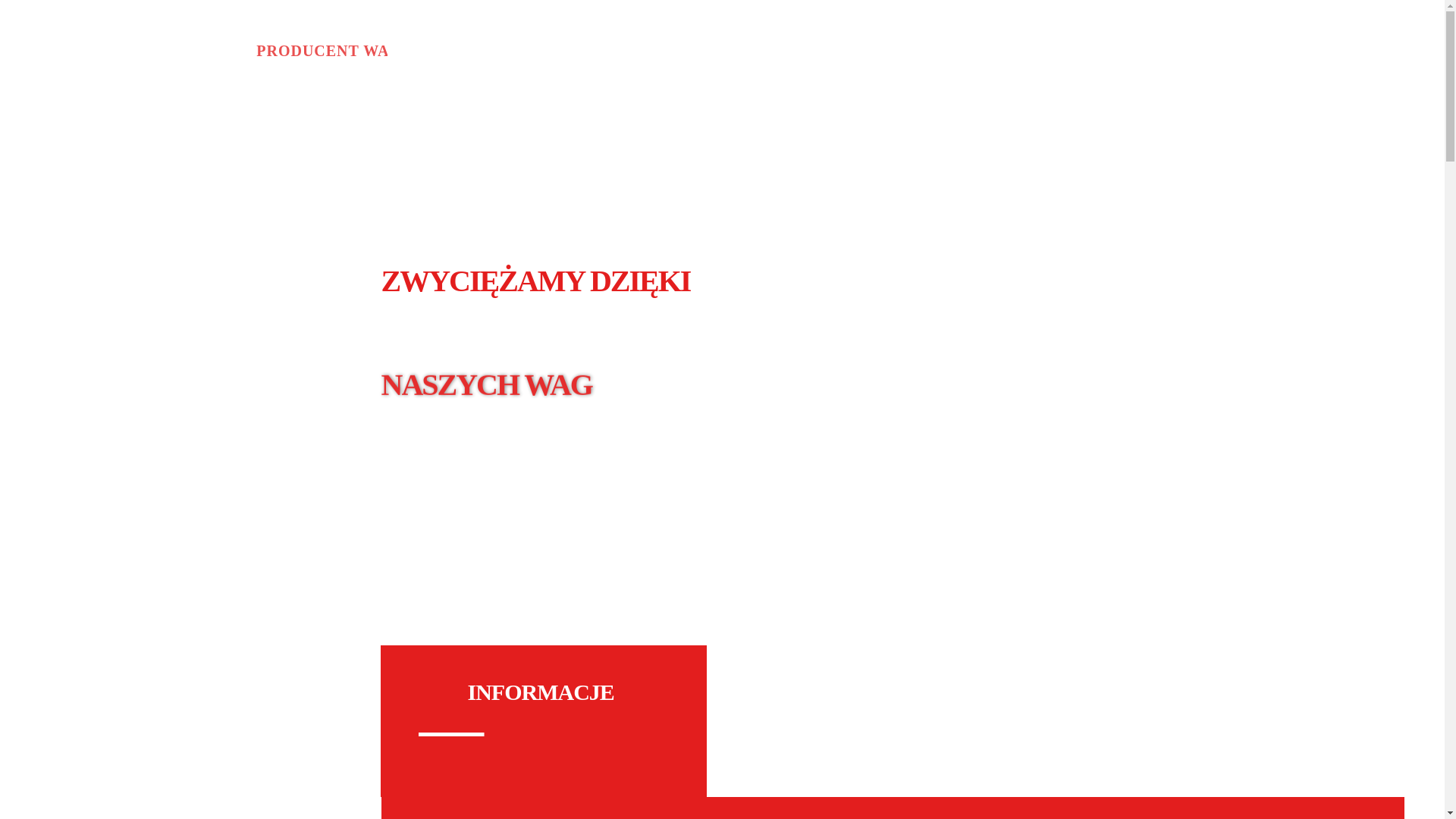 website screenshot of https://test-wagaland.pl/